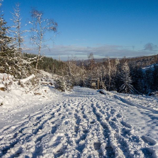 In der Spur - (c) K Eutebach.jpg